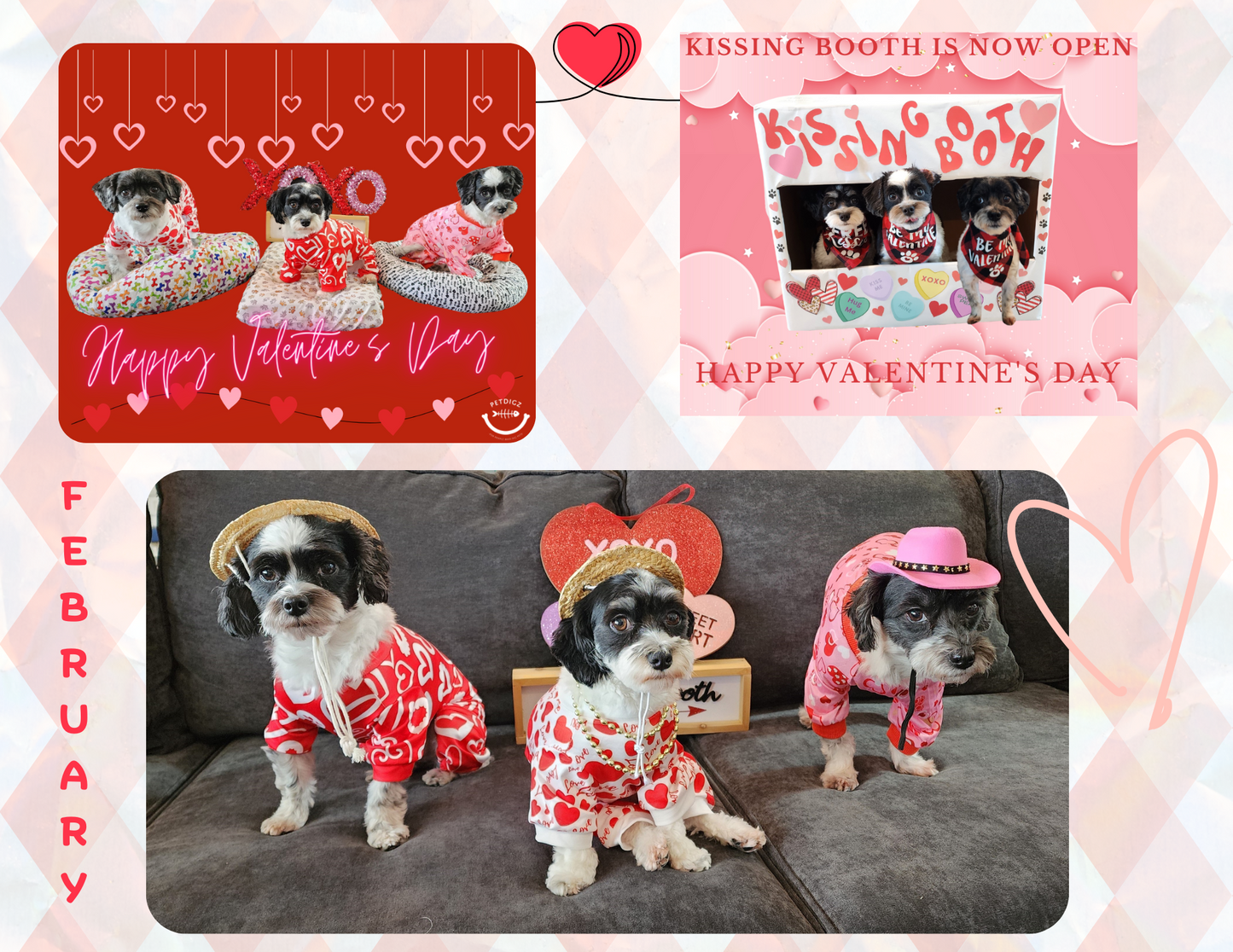 2026 Pupateers Pawsitive Living Calendar