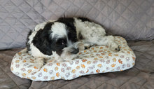 Flat Pet Bed Cover - Paws Everywhere